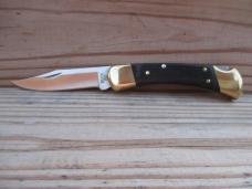 Buck 110 Folding Hunter 