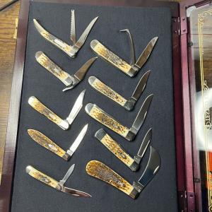 Case Jigged Amber Born 10 Piece Set