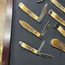 Case Jigged Amber Born 10 Piece Set