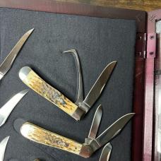 Case Jigged Amber Born 10 Piece Set