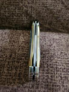 Gec 291319 Sambar Stag
