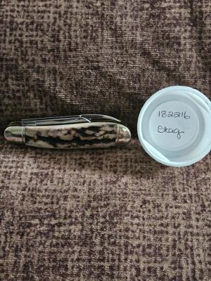 Gec 182216 Sambar Stag 