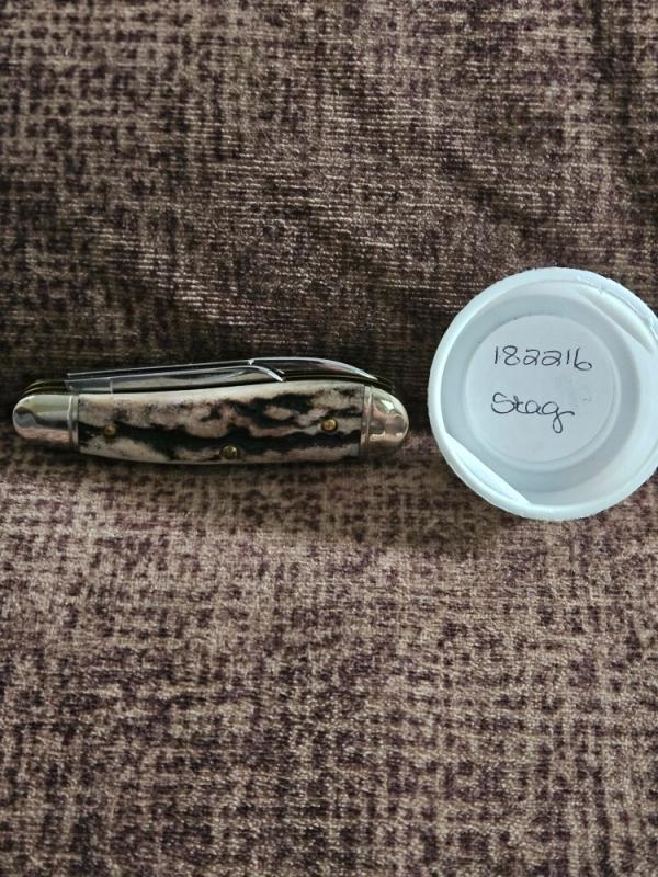 Gec 182216 Sambar Stag Gec 182216 Sambar Stag