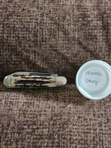 Gec 182216 Sambar Stag 