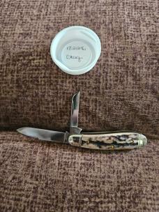 Gec 182216 Sambar Stag 