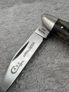 Case XX 1979 One Dot A6220 Appaloosa 2 Blade Peanut Pocket Knife Made In USA (12)