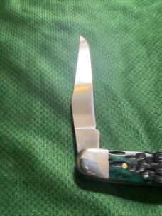 2025 CASE KENTUCKY BLUEGRASS BONE MUSKRAT 