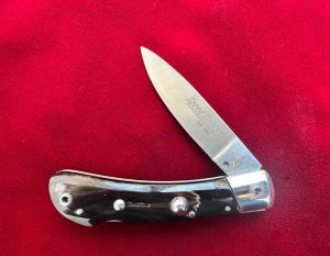 AKC Speed Hunter First Run Beauty