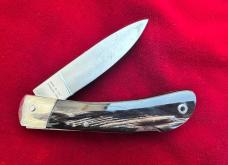 AKC Speed Hunter First Run Beauty
