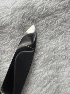 Hen & Rooster Bertram Cutlery Made In Germany 4 Blade Congress Stag Handle (21)