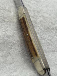 Hen & Rooster Bertram Cutlery Made In Germany 4 Blade Congress Stag Handle (21)