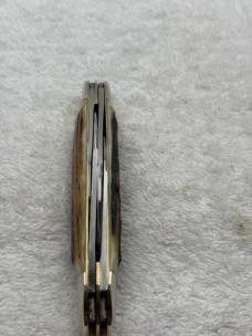 Hen & Rooster Bertram Cutlery Made In Germany 4 Blade Congress Stag Handle (21)
