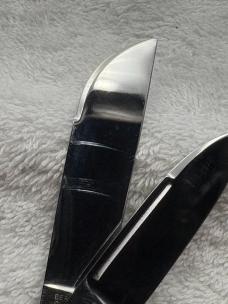 Hen & Rooster Bertram Cutlery Made In Germany 4 Blade Congress Stag Handle (21)