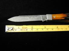 Titusville Cutlery Genuine Amber Stag Lexingtonian Coffin Jack Damascus Knife 1 of 15 COA USA Made