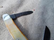 Bear & Son Stag Damascus Stockman Knife 