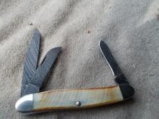 Bear & Son Stag Damascus Stockman Knife 