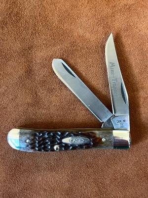 2002 CASE Cheetah Peacock Appaloosa