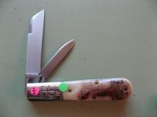 GREAT EASTERN TIDIOUTE 2023 BARLOW WITH PURPLE SAGE BONE