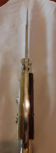 A.G.A. CAMPOLIN 10in. Picklock Brazilian Horn