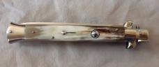 A.G.A. CAMPOLIN 2018 11in. Picklock Brazilian Horn Dagger Blade