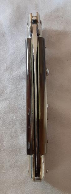 A.G.A. CAMPOLIN 2018 11in. Picklock Brazilian Horn Dagger Blade