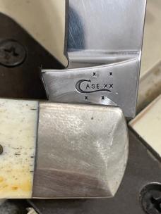 Case 6.51546 bone stag back pocket CV 