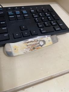 Case 6.51546 bone stag back pocket CV 
