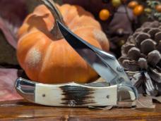 Case Factory Mammoth ivory mid folding hunter. 
