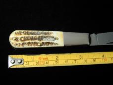Case xx 6.5 Bone Stag Barlow Knife 65339 USA Made 2024 6.51009 1/2 SS