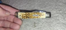 2007- 6207 Case XX Mini Trapper with Amber Bone Handles 