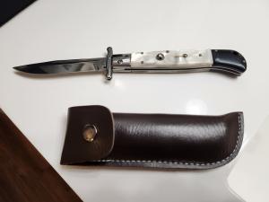 11 inch swinguard 