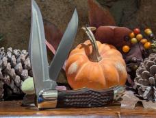 Case USA 1965-69 6265 SAB Folding Hunter with jigged wood handles. Stainless blades drilled 