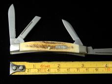 Case xx 6.5 Bonestag Small Congress 2023 Vault Knife Rare 65337 USA Made NIB 6.5468SS