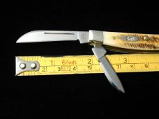 Case xx 6.5 Bonestag Small Congress 2023 Vault Knife Rare 65337 USA Made NIB 6.5468SS
