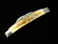 Case xx 6.5 Bonestag Small Congress 2023 Vault Knife Rare 65337 USA Made NIB 6.5468SS