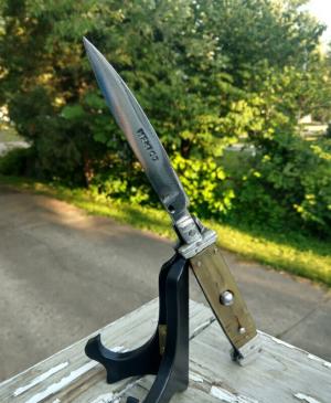 Beautiful Mexican Picklock