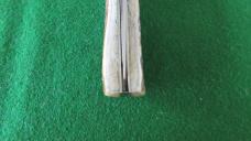 RARE AGA CAMPOLIN 1947-2007 ANNIVERSARY Fulcrum Lever STAG HUNTER Flush OVAL Button