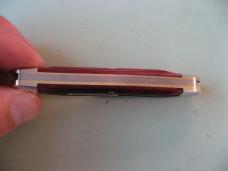 GEC 661225 TIDIOUTE LIL' COWBOY RUBU RED SPRINGFIELD BONE #1
