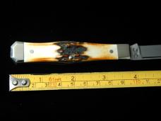 Titusville Cutlery Genuine Burnt Stag Lexingtonian Coffin Jack Knife Rare 1 of 30 COA USA Made