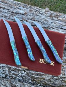 BUCK LEROY REMER CUSTOM 107 ** PAUA STEAK KNIFE SET