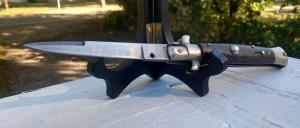 BV & F Picklock