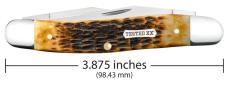 Case XX USA Burnt Amber Bone Rogers Jig Carbon Steel Muskrat Pocketknife 51395