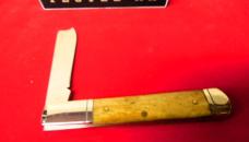 2024 CASE XX 61005RAZ ANTIQUE BONE APPROX. 3-7/8" WITH BOX MINT