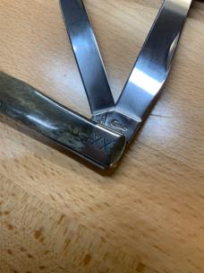 Case xx Giraffe Bone Smooth Trapper 2019 (EX254 SS) 