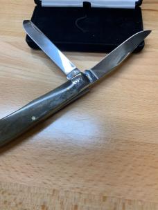 Case xx Giraffe Bone Smooth Trapper 2019 (EX254 SS) 