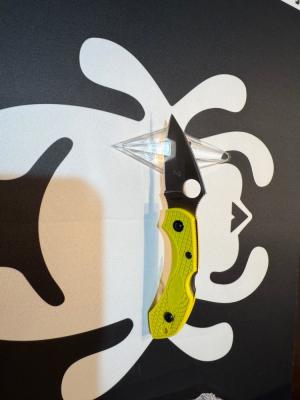 Spyderco Dragonfly 2 lightweight salt H2 blade steel