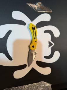 Spyderco Dragonfly 2 lightweight salt H2 blade steel