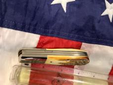 Case xx 1982, 8 Dot Razor Barlow Knife -Great Stag Handles -Mdl# 52009 1/2 SSP -Serial #3402 -Minty!