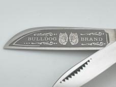 BULLDOG BRAND Solingen Germany Genuine Mastodon Ivory Congress w/ OMP Box