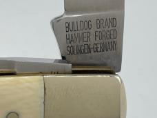 BULLDOG BRAND Solingen Germany Genuine Mastodon Ivory Congress w/ OMP Box